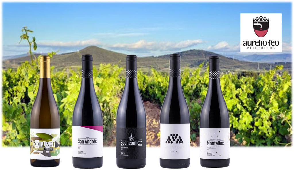 Miércoles 16 de diciembre. Última cata de 2020. Cata de vinos de Bodegas Aurelio Feo Viticultor del Bierzo.