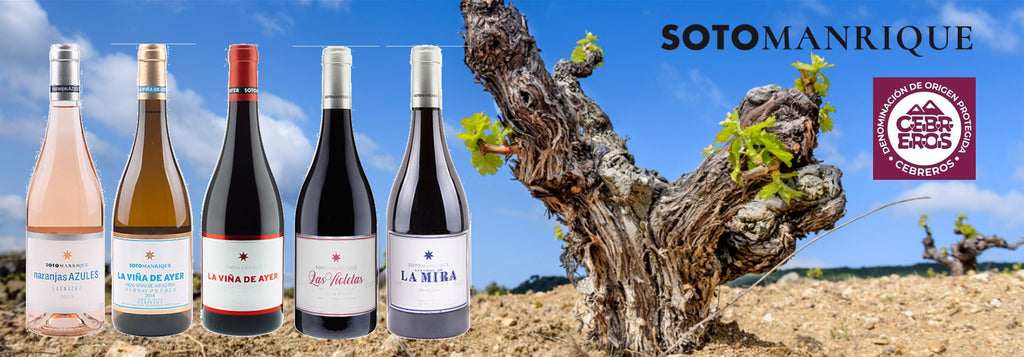 Miércoles 24 de Mayo. Cata de Vinos de Cebreros. Bodegas Sotomanrique.